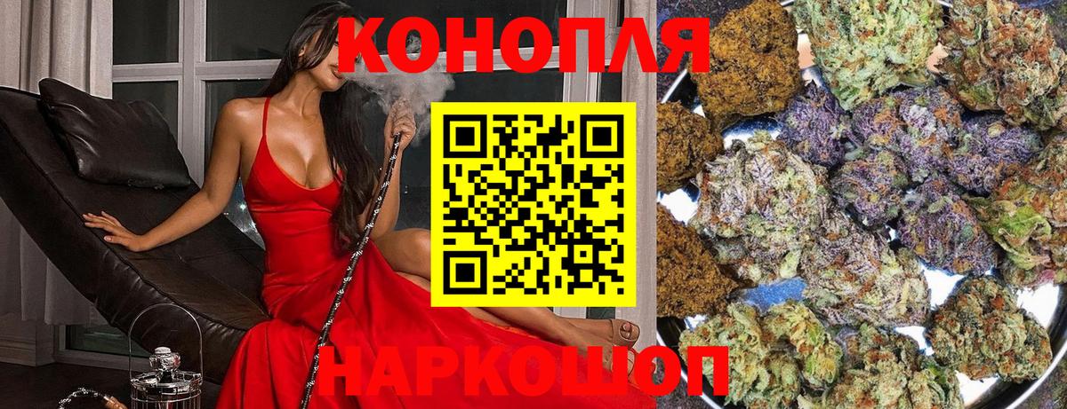 МАРИХУАНА планчик Армавир